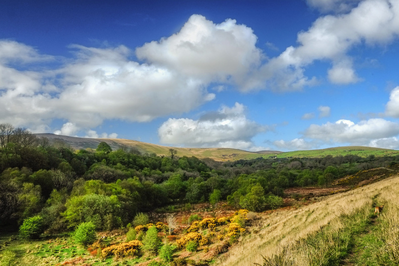 Preseli Hills 1 Pembrokeshire - Greeting cards