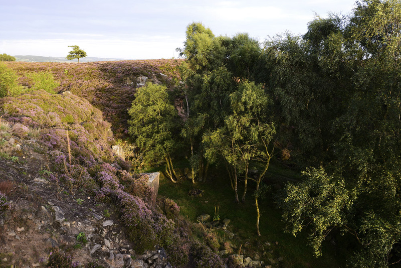 - Stanton Moor Landscapes