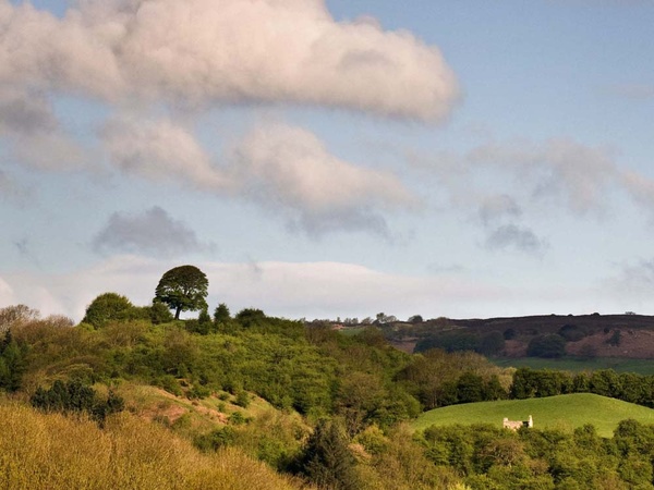 Oker Hill - Landscapes
