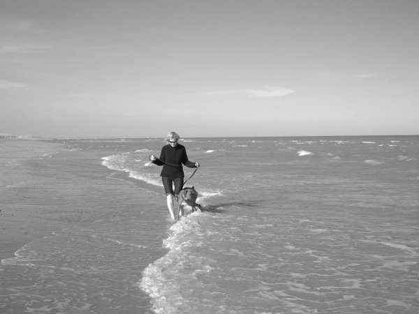 Camber Sands - London & the south east