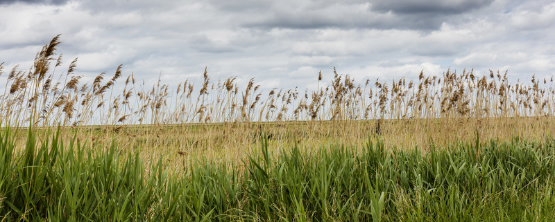 Blakeney - London & the south east