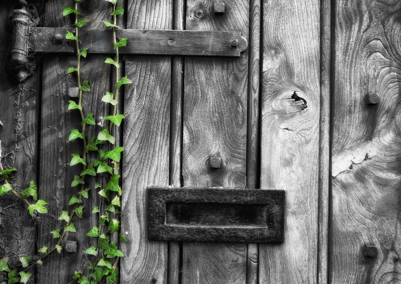 Rye - London & the south east