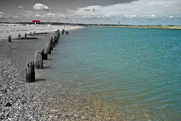 Rye Harbour - London & the south east