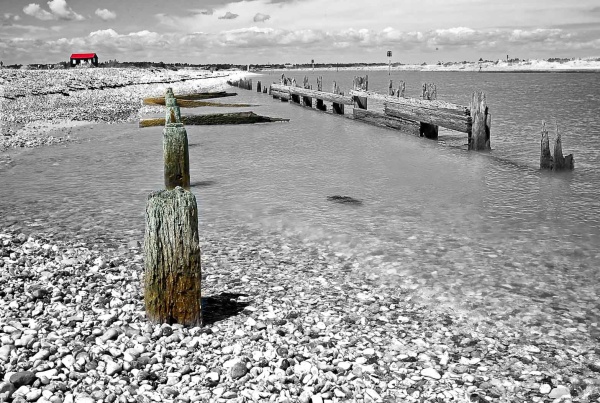Rye Harbour - London & the south east