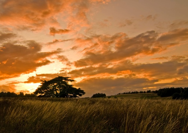 Luningstone Kent - London & the south east