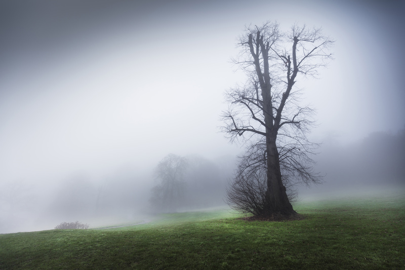 Oxleas Meadow - London & the south east