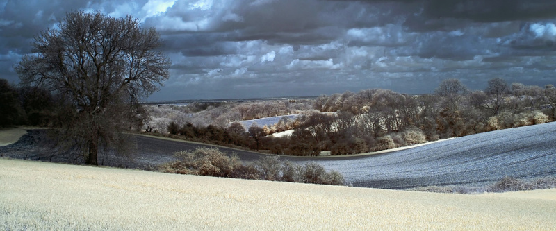 Kent Countryside - London & the south east