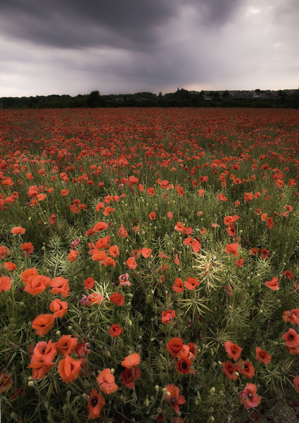 Swanley Kent - London & the south east