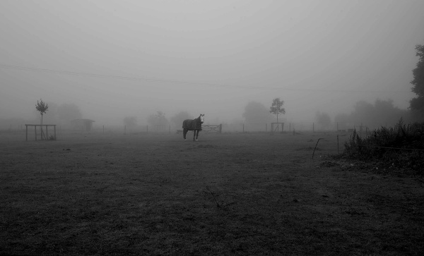 Colney Field Berkshire - London & the south east