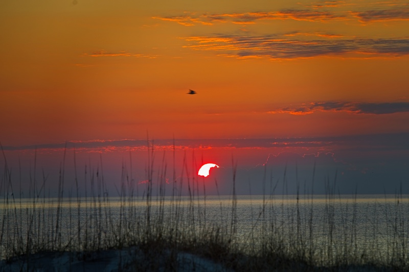 Amelia Island Sunrise - Sunrises