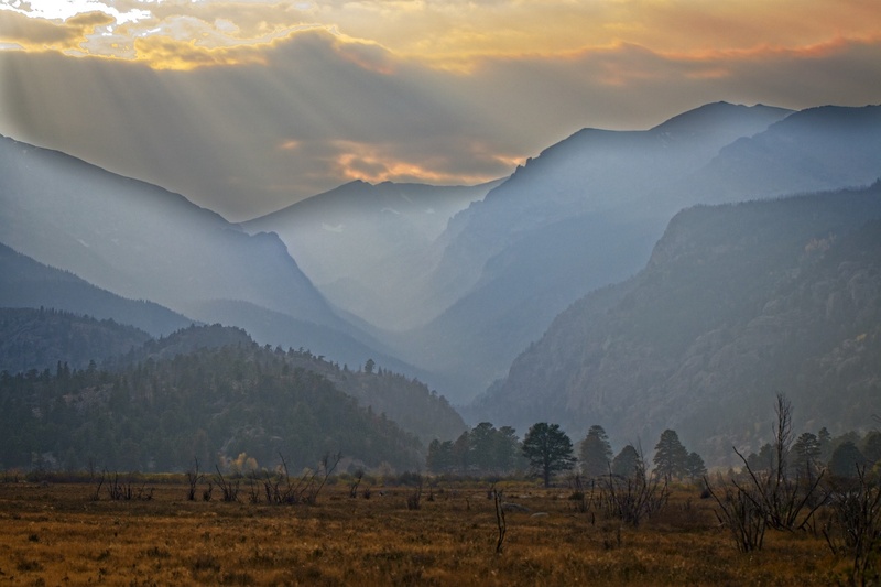  - Landscapes