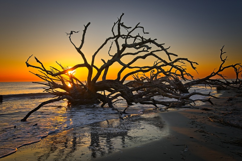Driftwood Beach - Sunrises