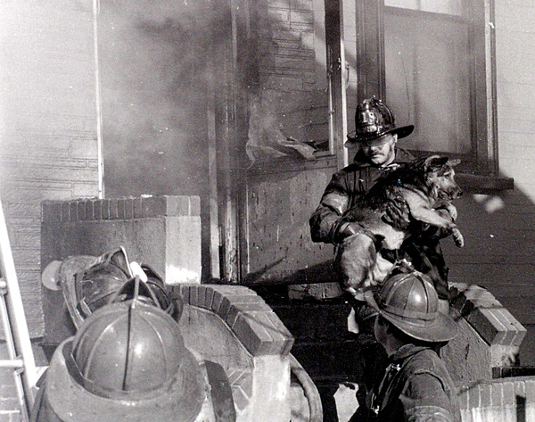 JGD 0057 - FDNY in action