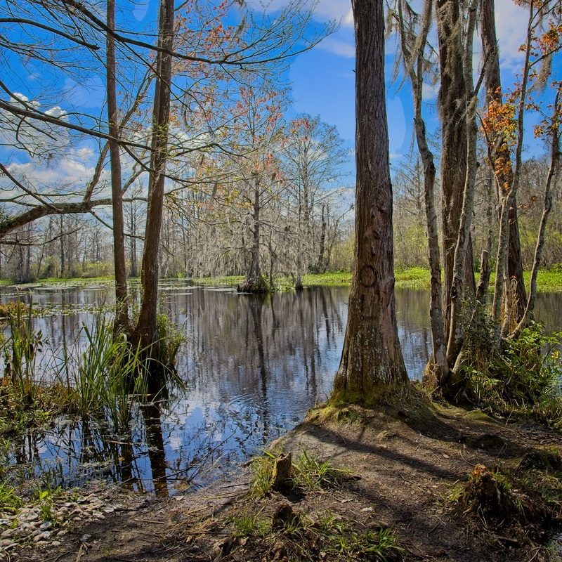 Cross Creek - Landscapes