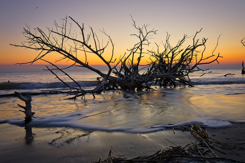 Driftwood Beach - Sunrises
