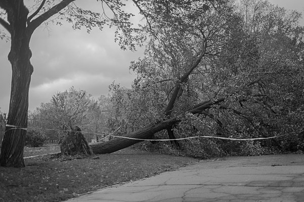  - Documentary Project:  After Sandy