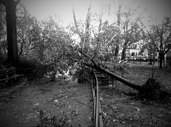 - Documentary Project:  After Sandy