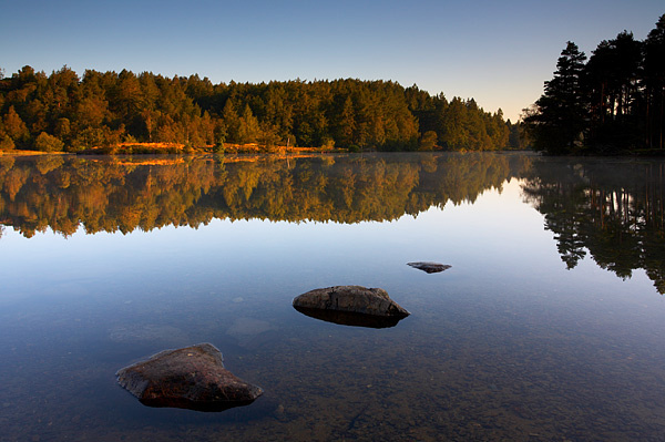 Tarn Hows Reflections - Lake District