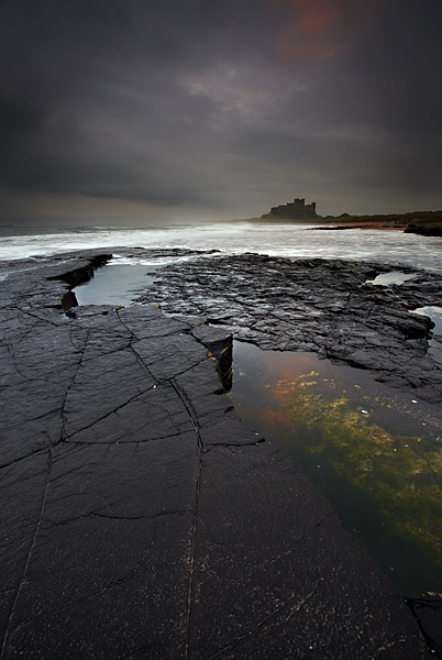 Splash Of Colour - Northumberland