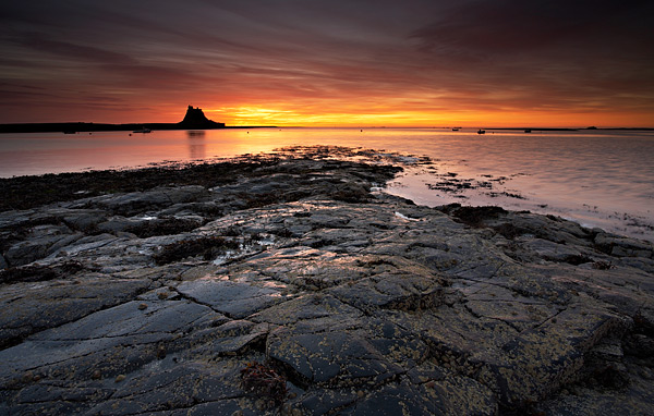 Morning Has Broken - Northumberland