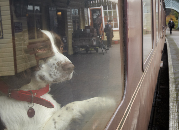 Ted's Brief Encounter - Candid Portraits