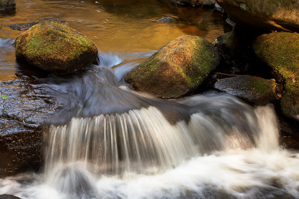 Padley Gorge - Peak District