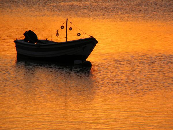 Alvor Boat - Algarve
