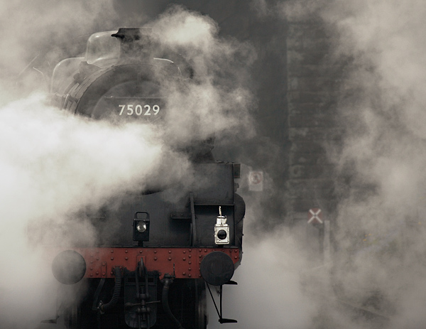 75029 Emerges - Trains & Tanks