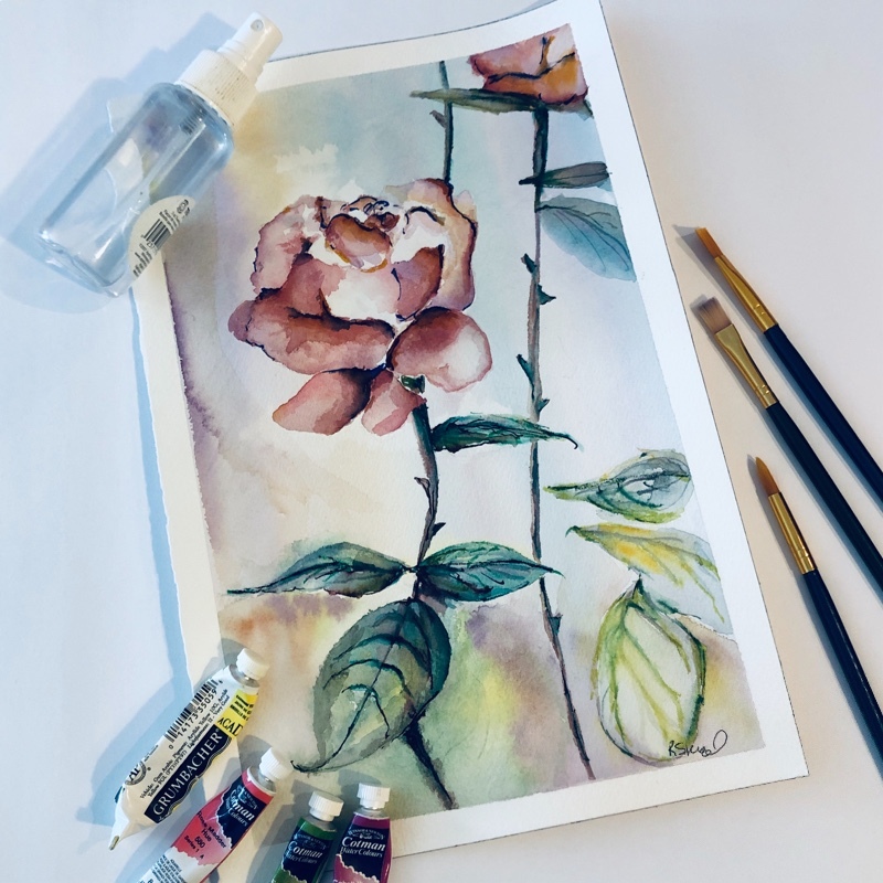  - Flowers & Nature