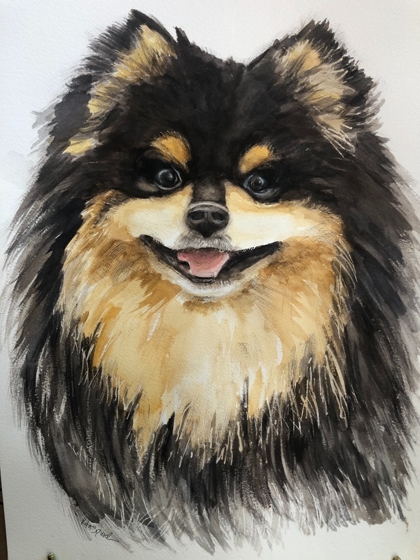 Nashobu - Pet Portraits