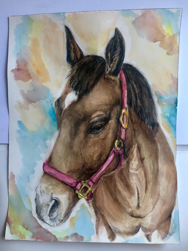Flo - Pet Portraits