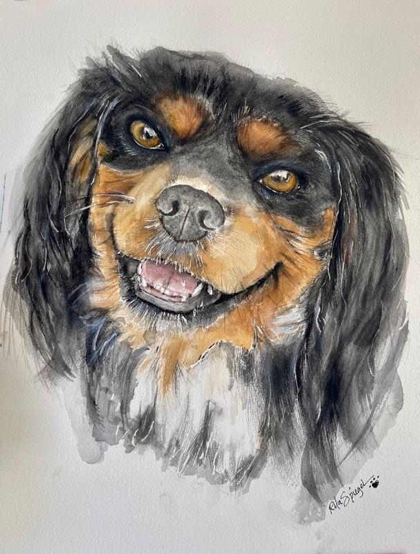 - Pet Portraits