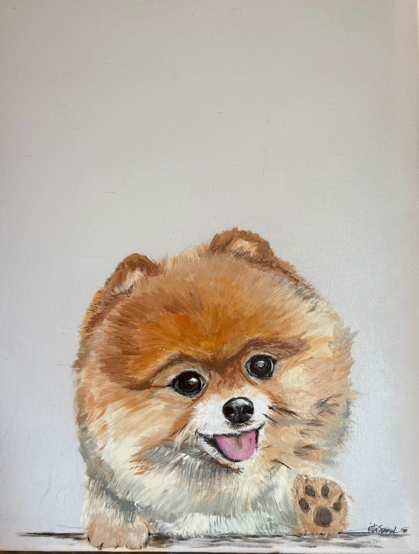  - Pet Portraits