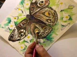  - 20 Paintings Series  ~ Butterflies