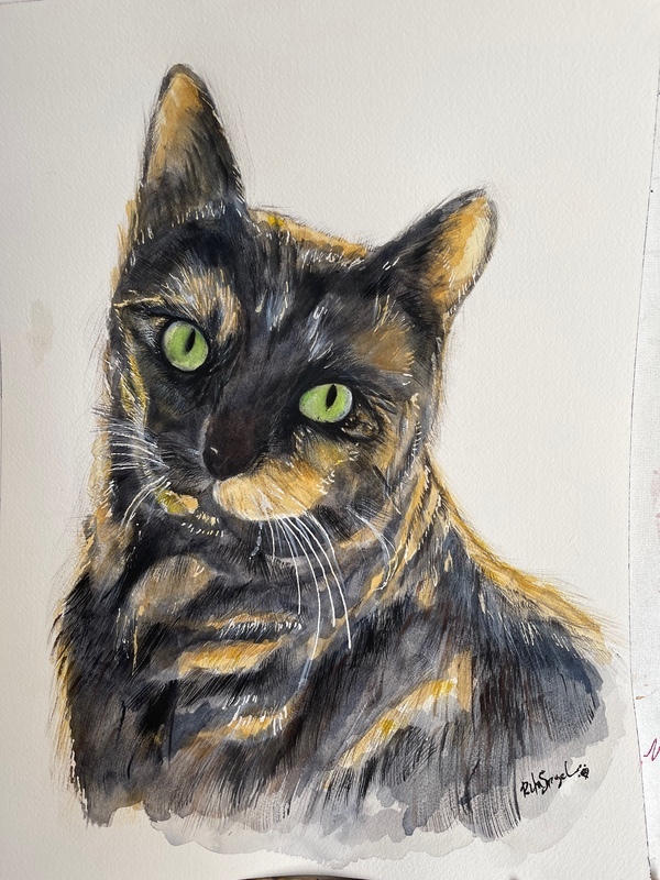  - Pet Portraits