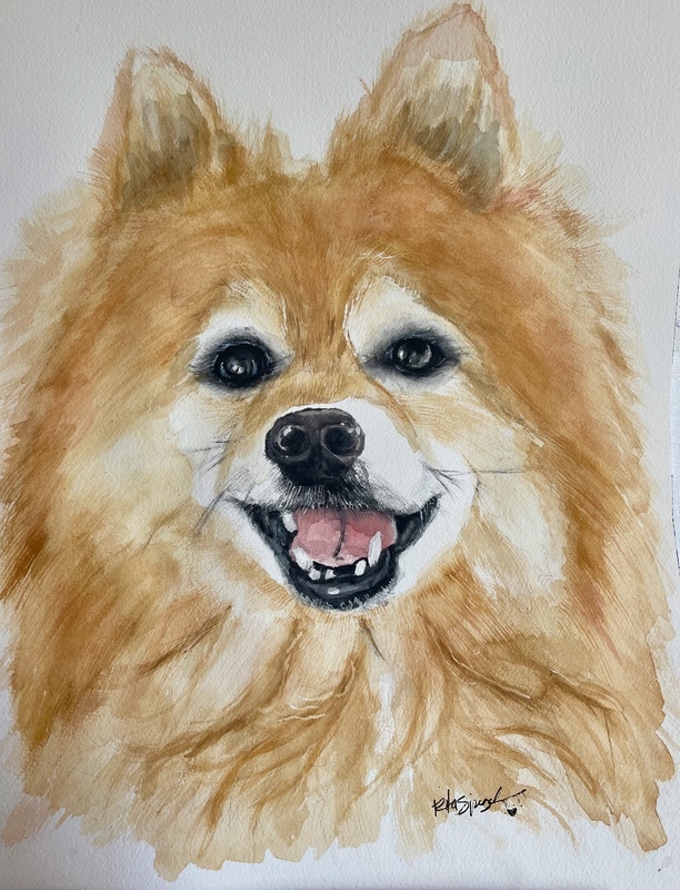  - Pet Portraits