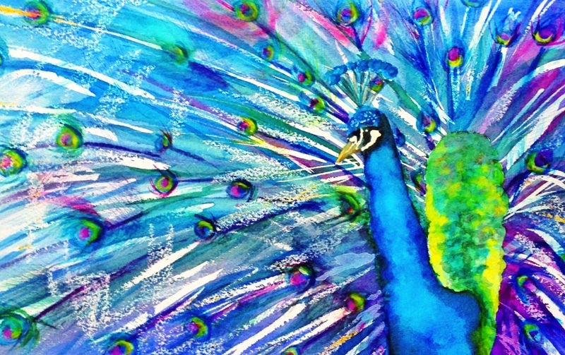  - Butterflies and Birds