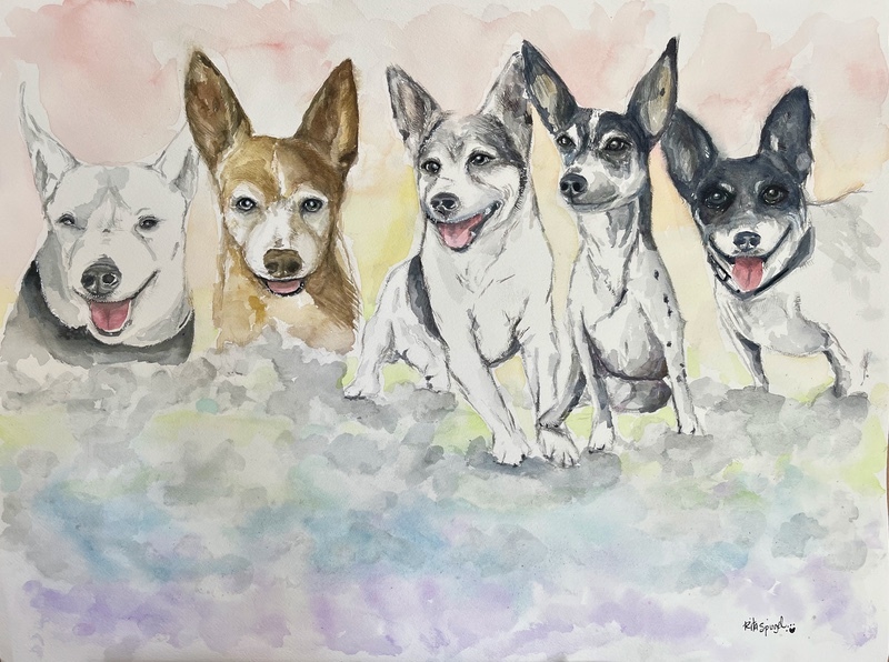 - Pet Portraits