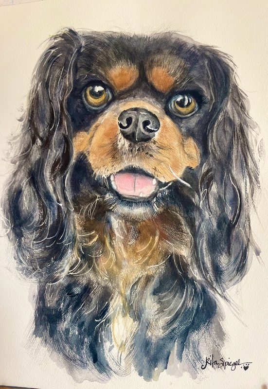  - Pet Portraits