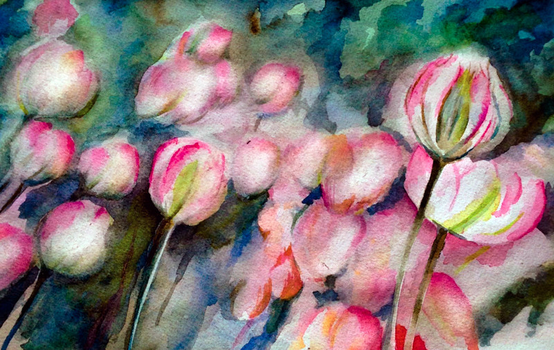  - Flowers & Nature