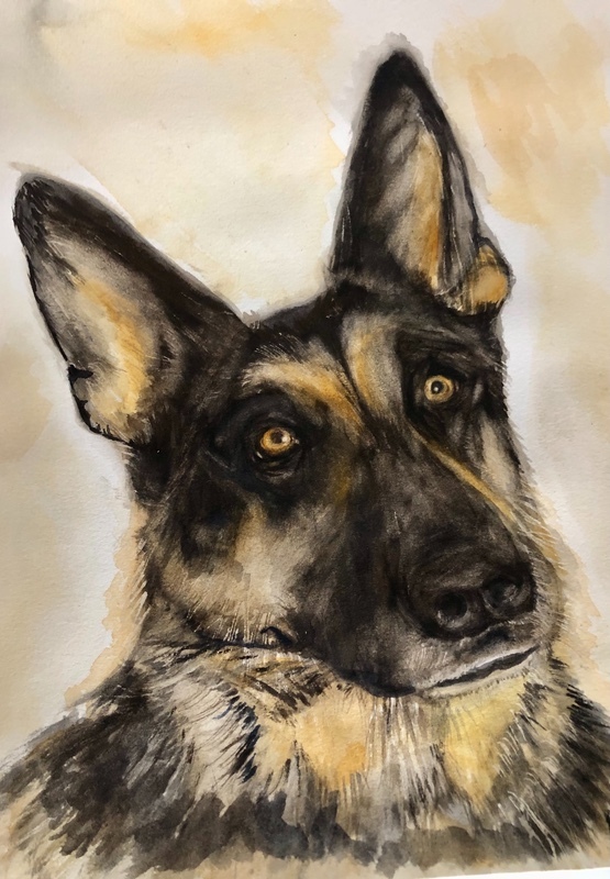 Kahlua - Pet Portraits