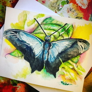  - 20 Paintings Series  ~ Butterflies