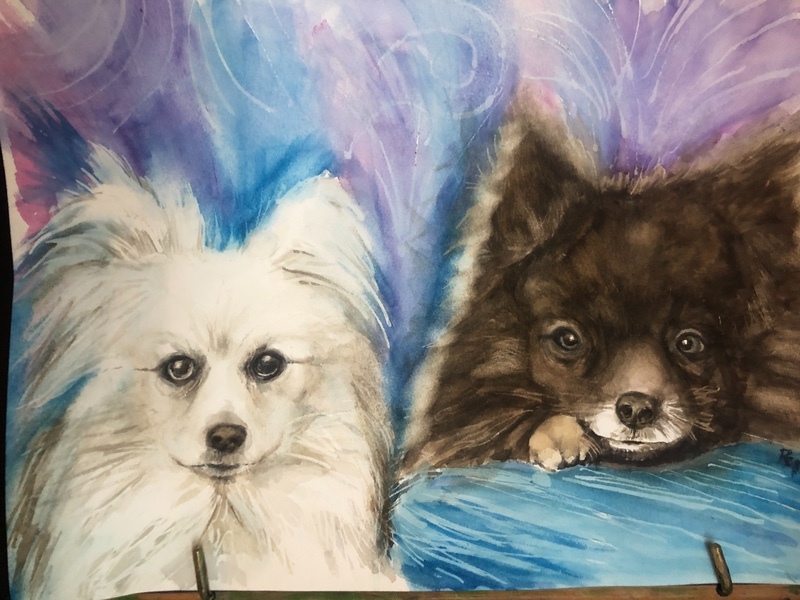 Baby Bear - Pet Portraits