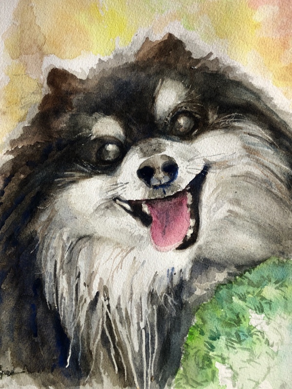 Smokey - Pet Portraits