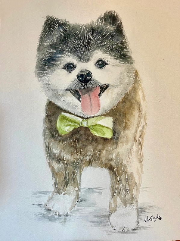  - Pet Portraits