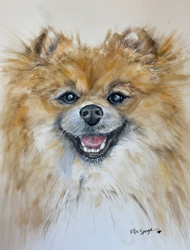  - Pet Portraits