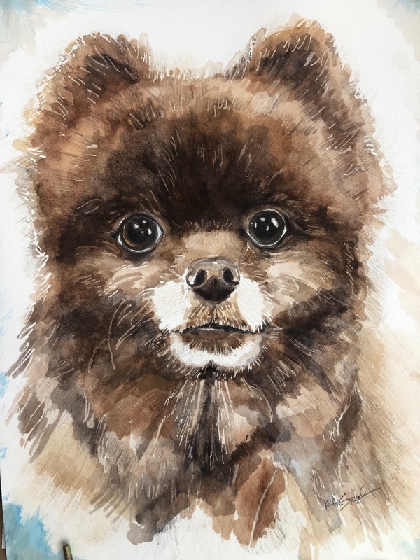  - Pet Portraits