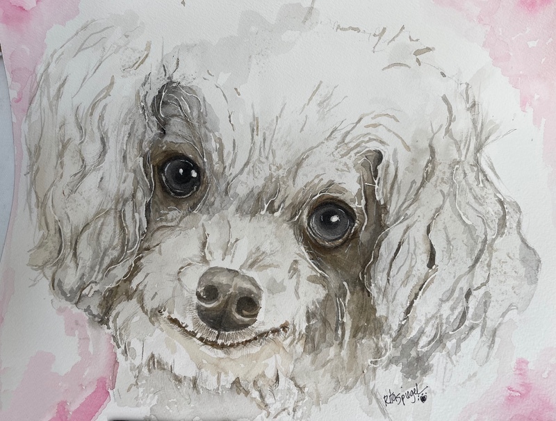  - Pet Portraits