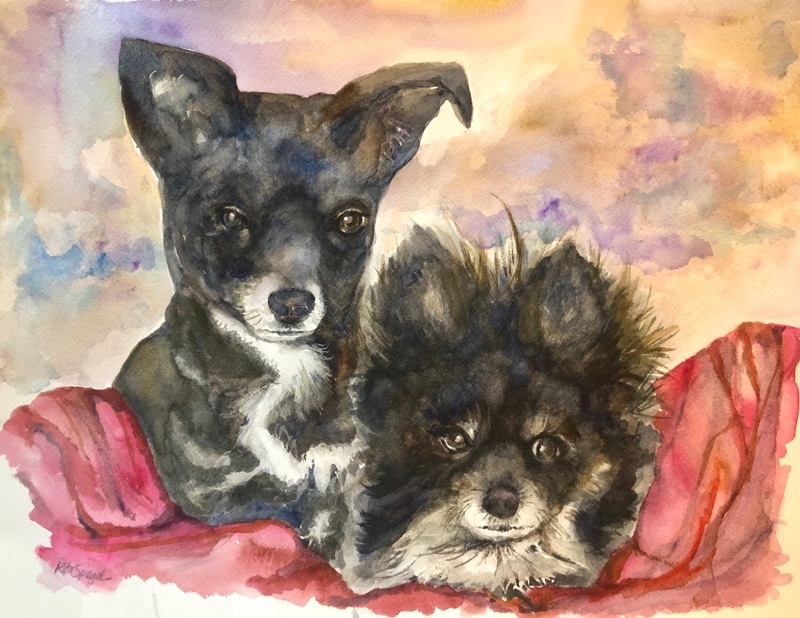 Susie and Joey - Pet Portraits