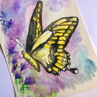  - 20 Paintings Series  ~ Butterflies